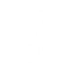 Sprouting plant icon