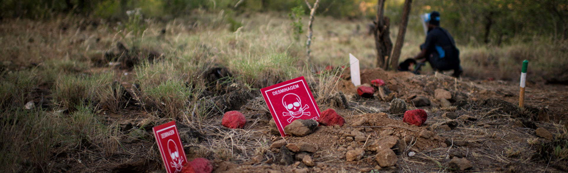 Multiple red posters warning of mines sits in the soil as a deminer wearing PPE works in the background