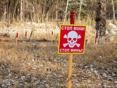 A red danger sign in Pechenihy Minefield in Kharkiv Oblast in Ukraine