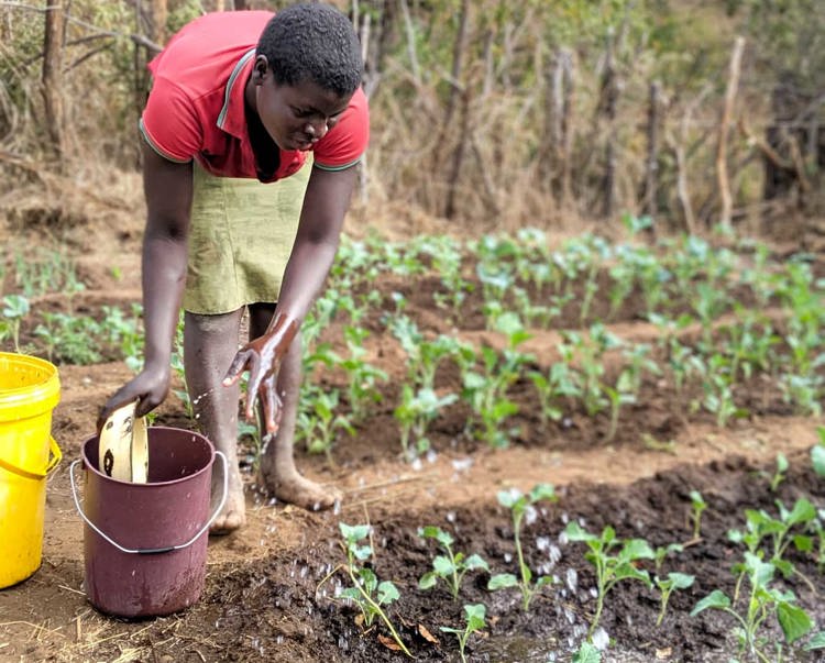A woman tends to her plants in a garden