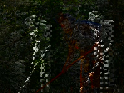 HALO worker wearing a protective vest and visor