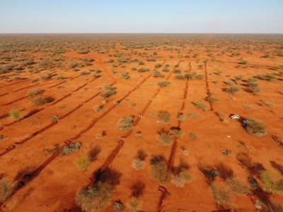 A drone image of a soil restoration project in a former minefield in the Horn of Africa